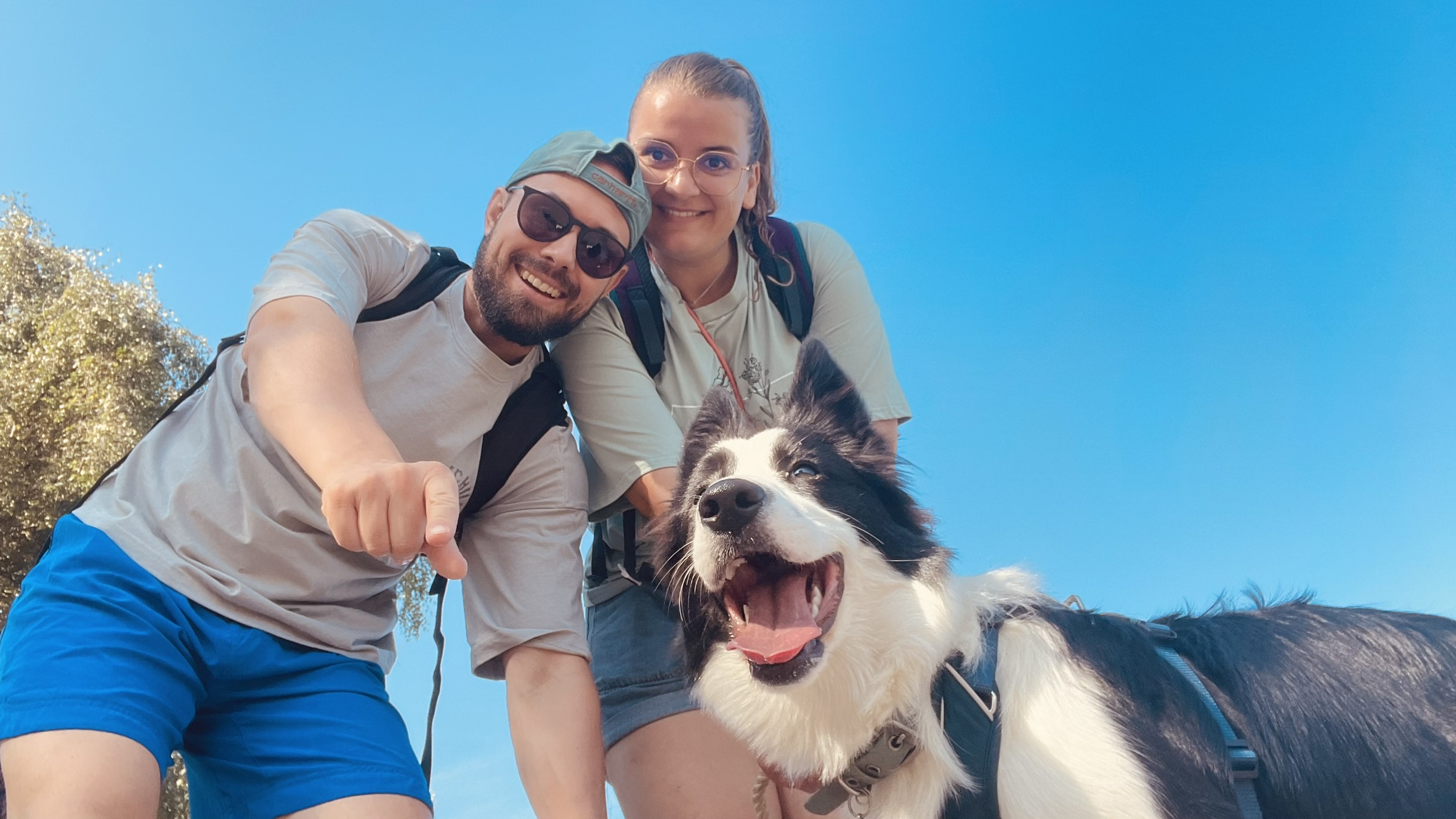 Uma the Border Collie with her two owners on a sunny walk